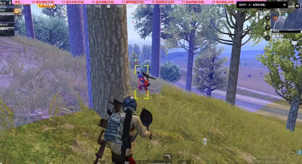 和平精英辅助【星光】